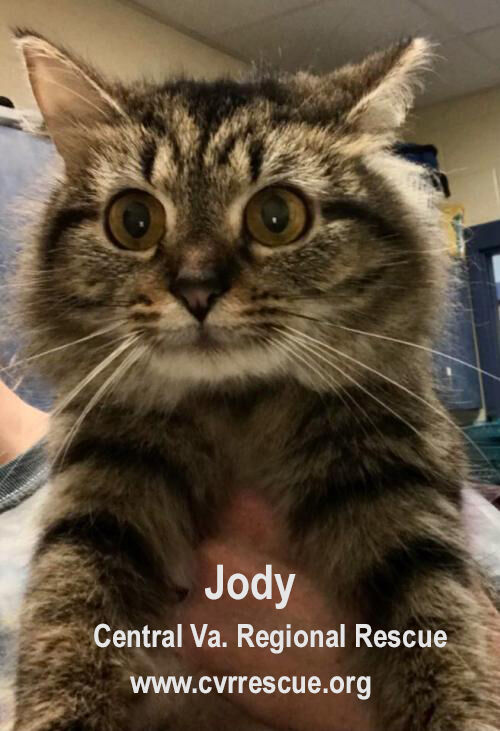 Jody